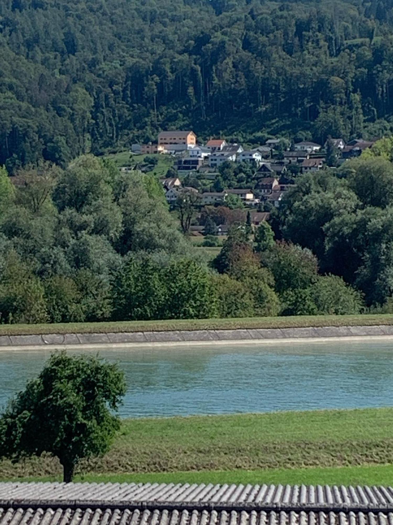 Hochrhein Ferienwohnung Albbruck Екстер'єр фото