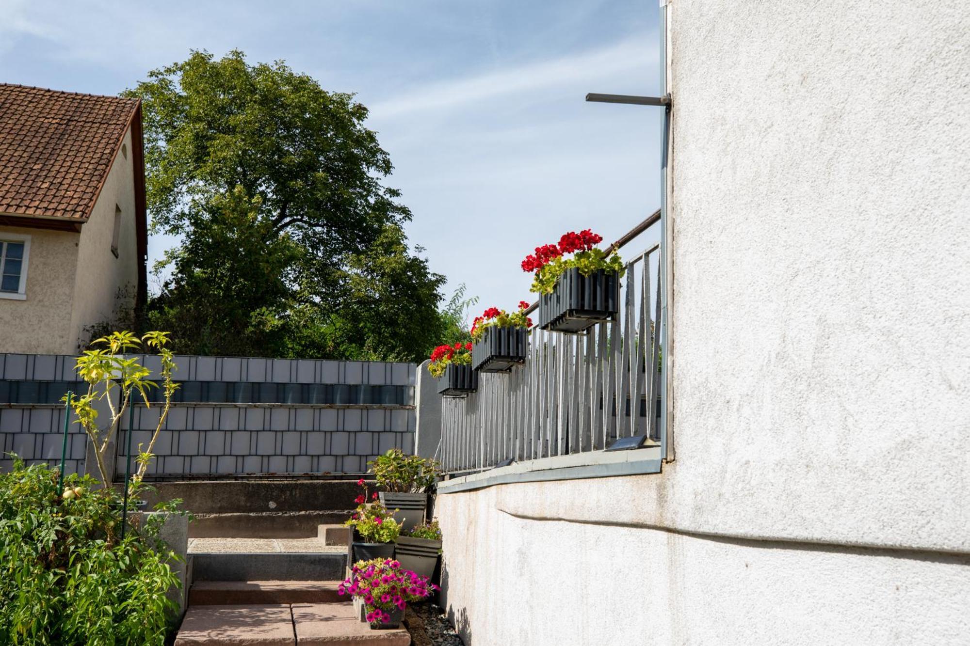 Hochrhein Ferienwohnung Albbruck Екстер'єр фото