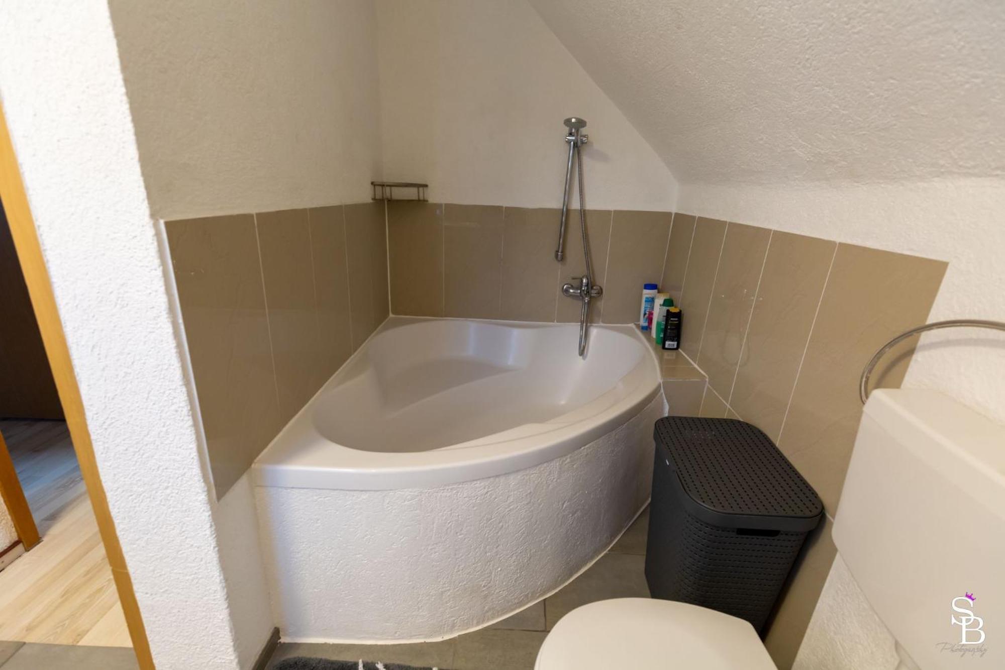 Hochrhein Ferienwohnung Albbruck Екстер'єр фото