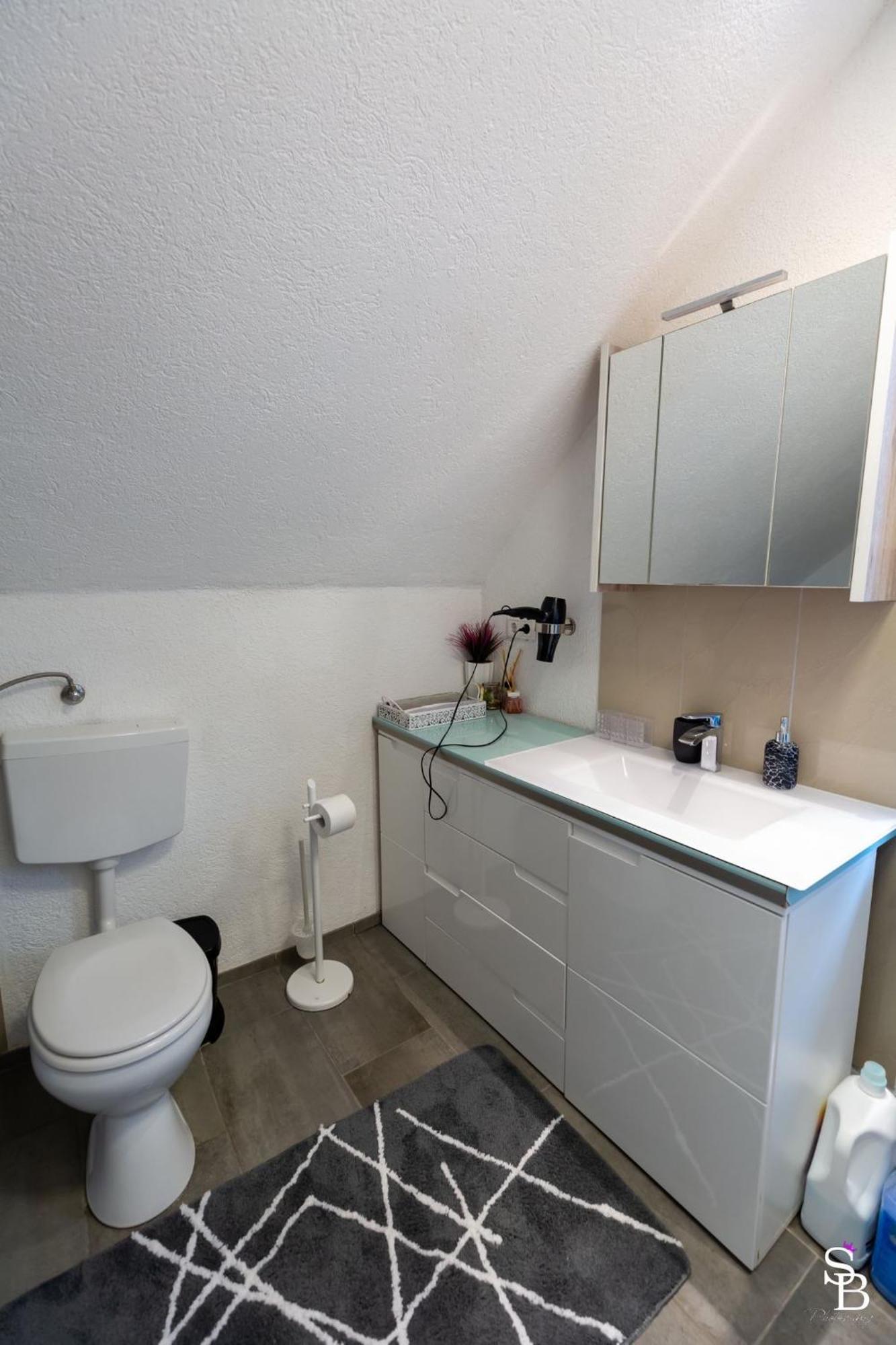 Hochrhein Ferienwohnung Albbruck Екстер'єр фото
